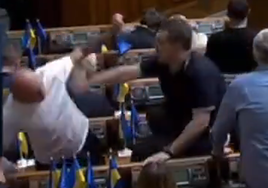 Captura de la pelea entre dos diputados ucranianos.