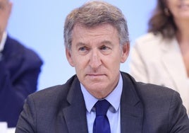 El líder del PP, Alberto Núñez Feijóo.