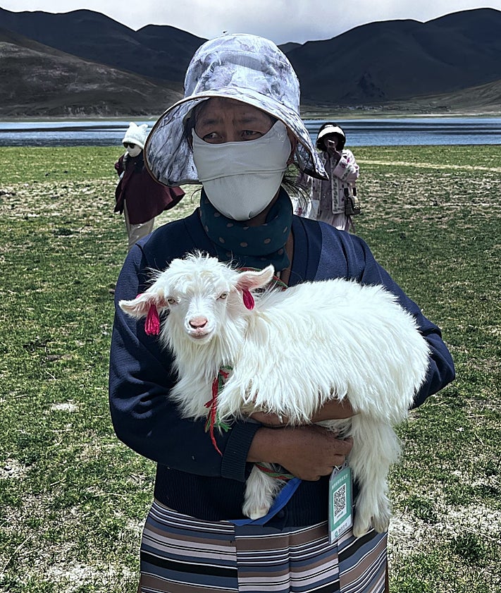 Imagen secundaria 2 - Monjes tecnificados y con zapatillas 'Nike' en el Monasterio de Gongkar Chö. Un Yak 'customizado' para turistas en el sagrado lago Yamdrok, y una campesina que ofrece fotografiar a su cabrita por 20 yuanes y solo cobra con el QR que pende de su cintura 