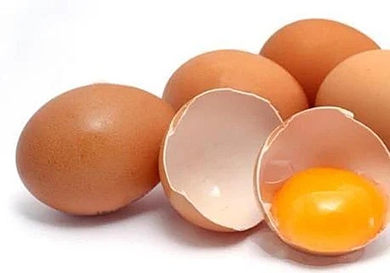 Estos son los alimentos que más intoxicaciones causan en verano