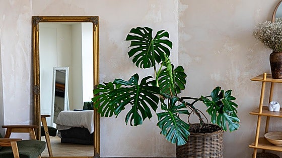 Espejito, espejito mágico... Decora y da amplitud a tu hogar con los espejos más bonitos del reino