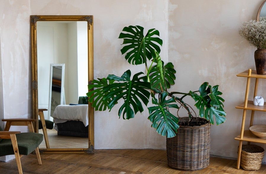 Espejito, espejito mágico... Decora y da amplitud a tu hogar con los espejos más bonitos del reino