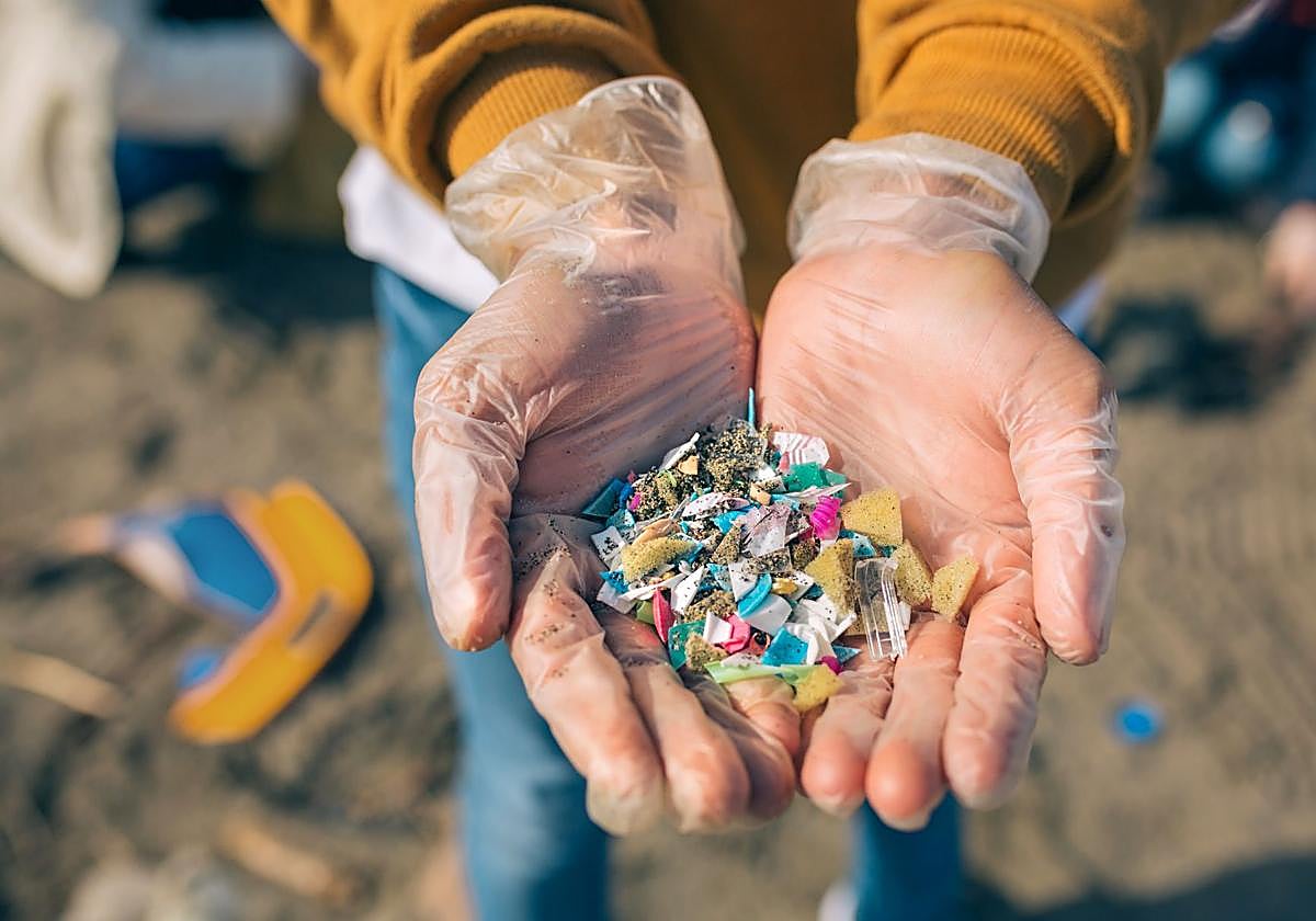 Resto de plásticos recogidos en una playa.