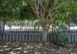 El lugar donde se produjo el alcance por un rayo durante el sábado.