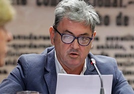 Antxon Alonso en el Senado