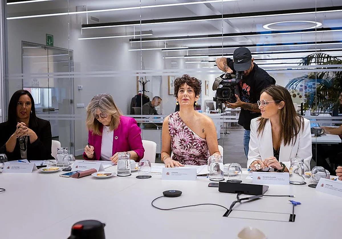La ministra Elma Saiz en la reunión mantenida con plataformas digitales el 30 de julio para abordar el seguimiento de los discursos de odio en redes