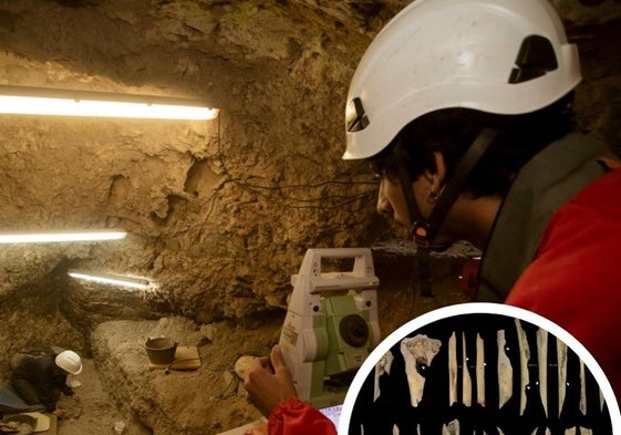 Canibalismo en Atapuerca: once individuos fueron despiezados, cocinados y devorados