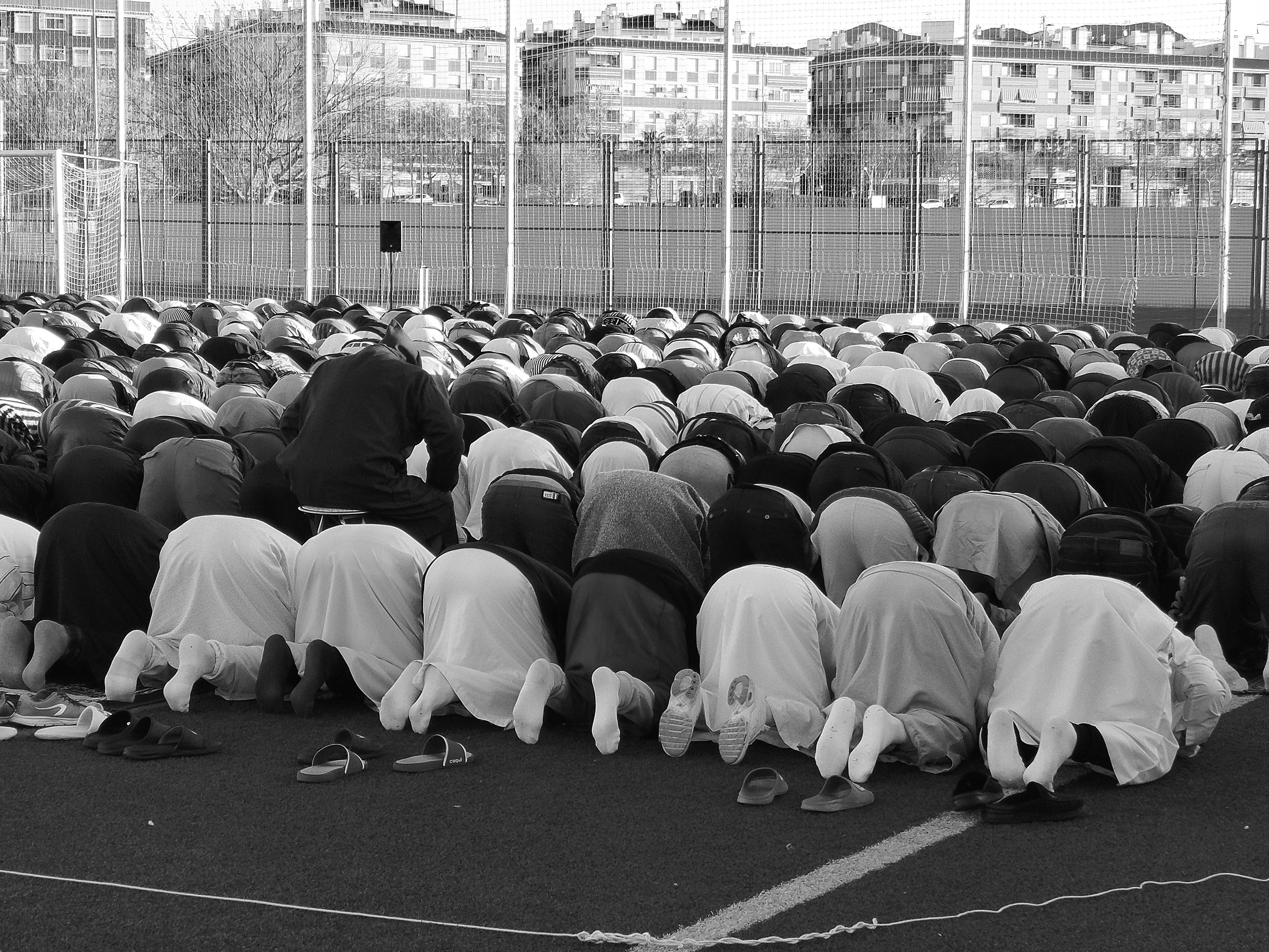 Jumilla como lección y paradoja