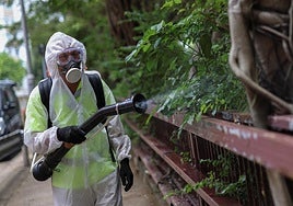 Un funcionario rocía con insecticida un parque de Hong Kong.