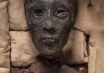 Tutankamón y familia: todos los secretos del faraón y las momias más misteriosas de Egipto