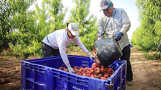 «Hay que preocuparse más por cómo viven y no por dónde rezan»