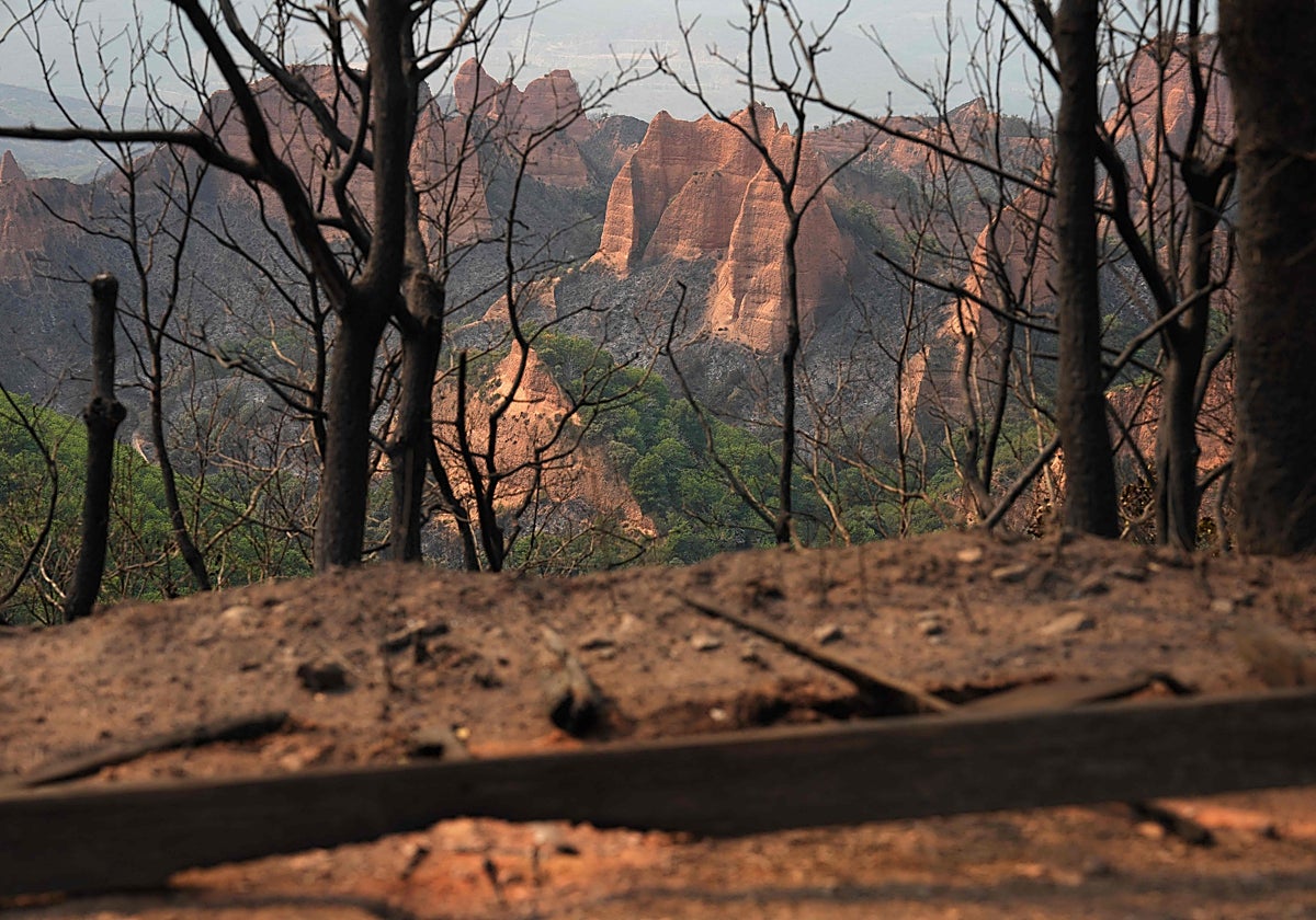 Aspecto del paraje natural de Las Médulas quemado por el incendio.