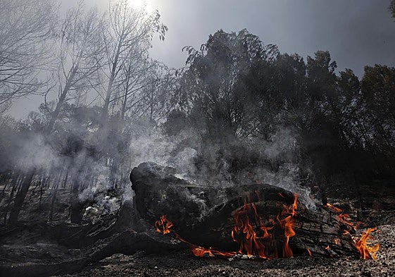 Área afectada por el incendio de la localidad navarra de Carcastillo.