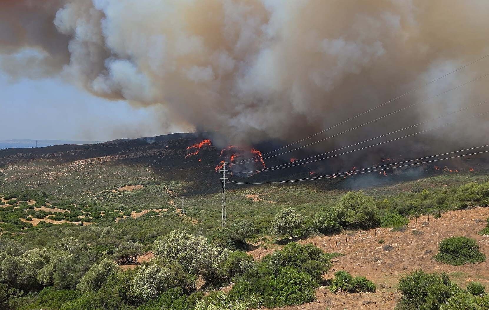 El fuego quema el paraje Sierra de la Plata, cercano a la playa de Bolonia, Tarifa