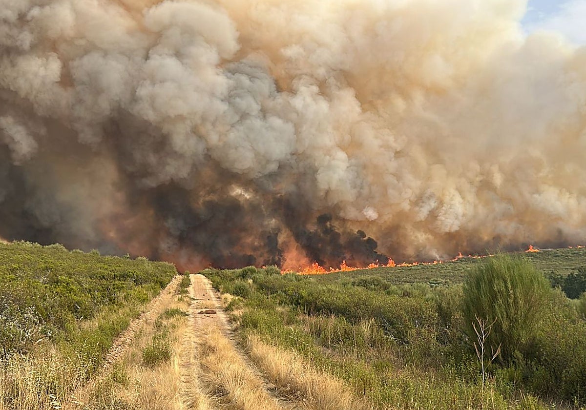 Los incendios que asolan España, en imágenes