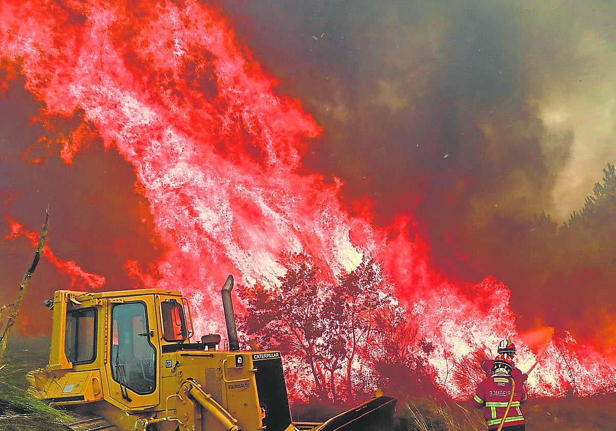 Bomberos portugueses lucha contra las llamas.
