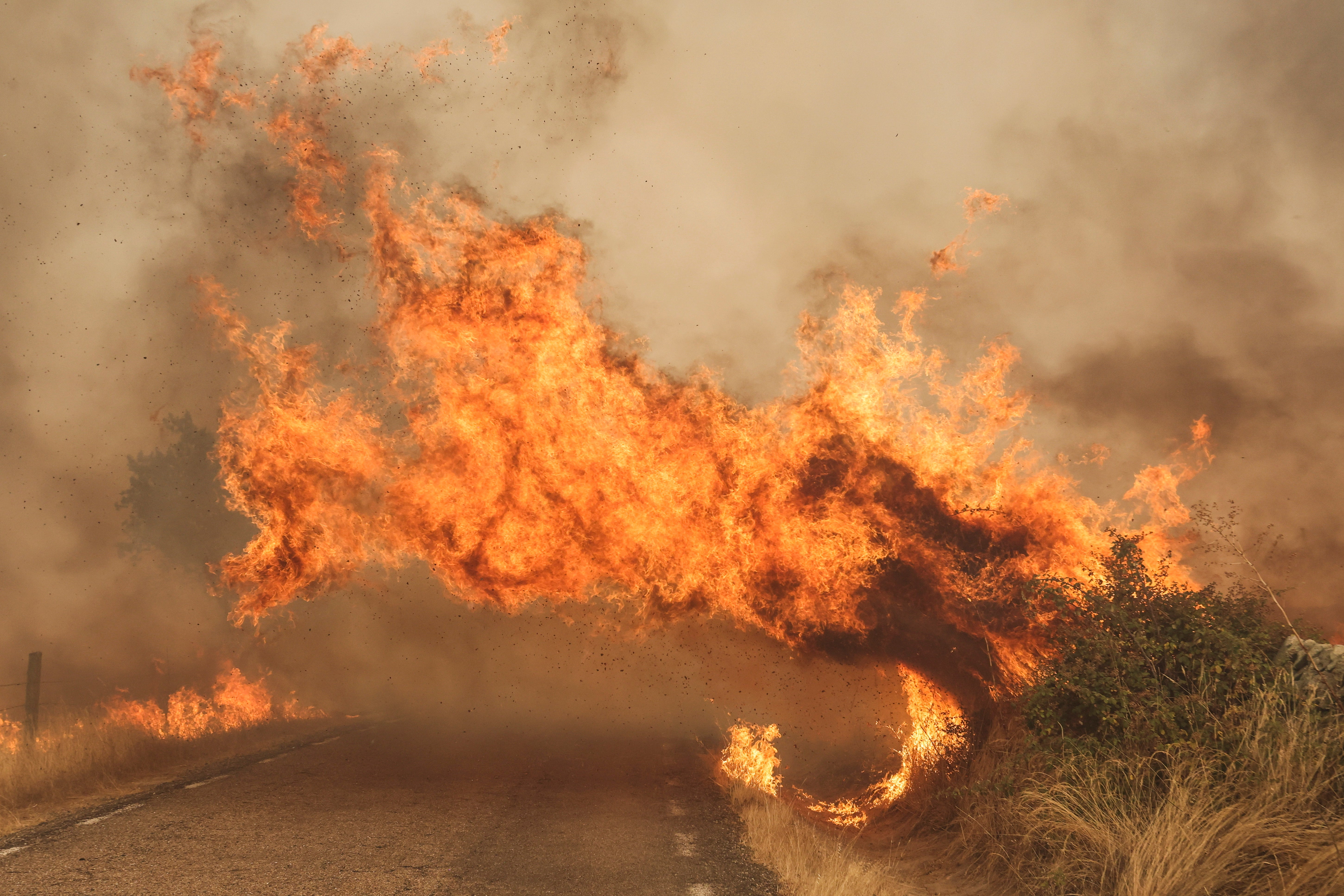 El fuego cruza una carretera por el incendio forestal este viernes, en las proximidades de Cipérez (Salamanca).