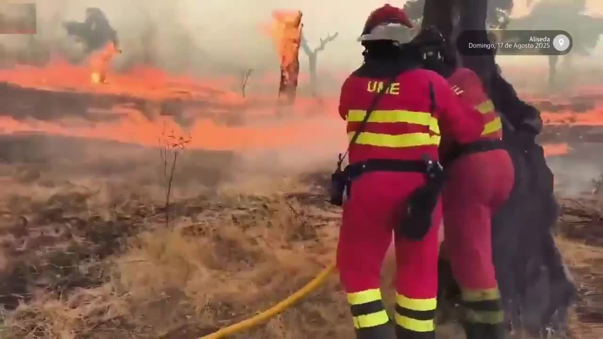 Militares de la UME combaten el fuego en Aliseda, que anoche se desplazó hacia la N-523