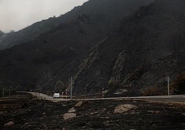 Campo quemado por el incendio en el entorno de los Picos de Europa.