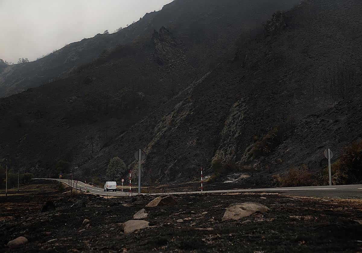 Campo quemado por el incendio en el entorno de los Picos de Europa.