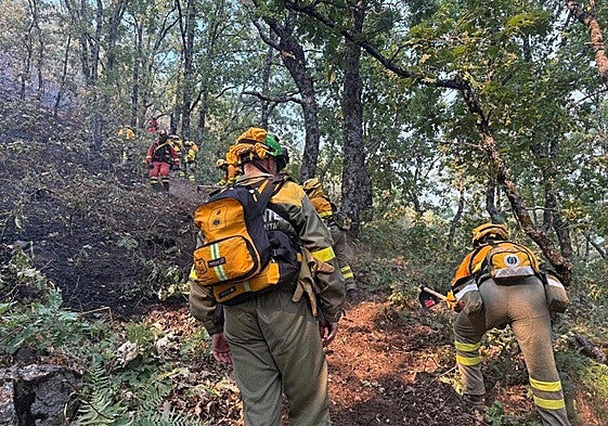 Bomberos forestales trabajan en el incendio de Jarilla.