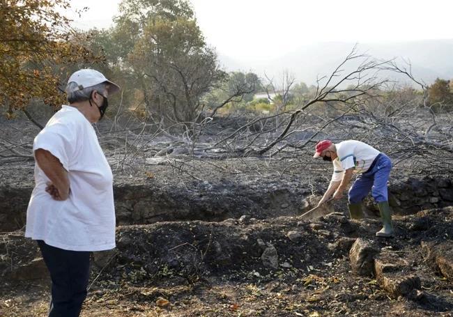 Vizinhos de Jarilla (Cácerres) nesta quarta -feira ao redor da cidade.
