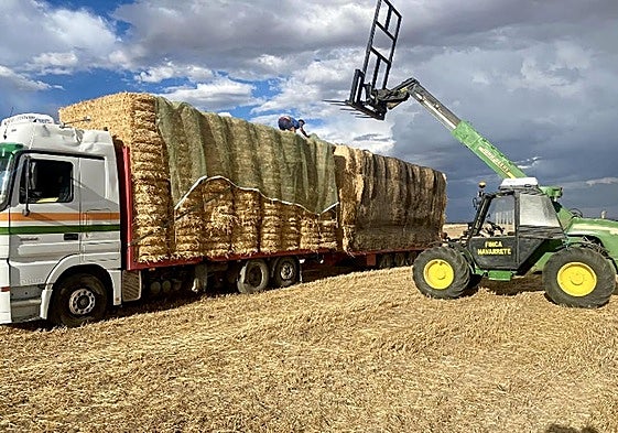 Finca agrícola de Rielves.