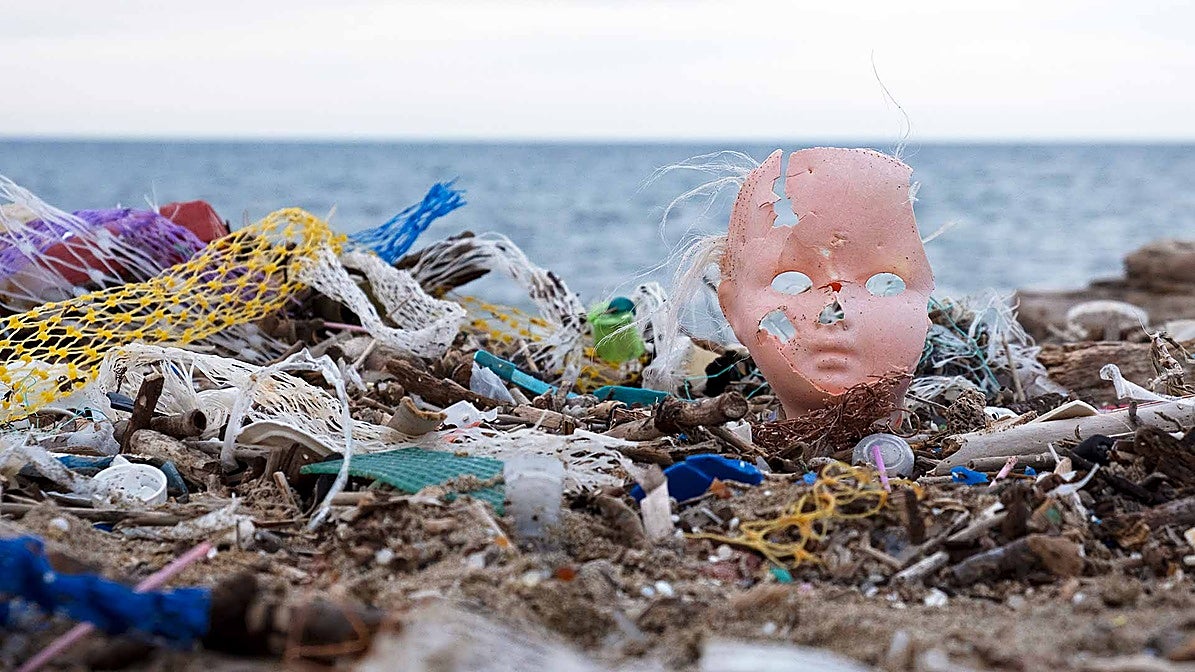 Un museo de los horrores con el plástico escupido por el mar