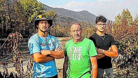 Los daños a los cerezos por el fuego: «En horas hemos perdido el trabajo de una vida»