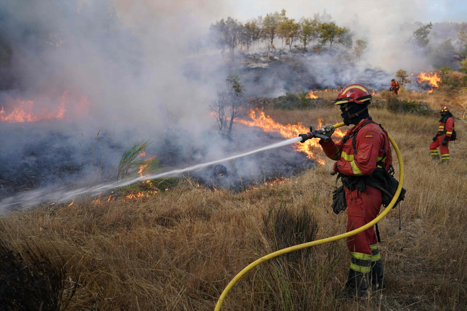 Dos militares de la UME heridos en Ourense tras chocar su vehículo con un camión de ganado