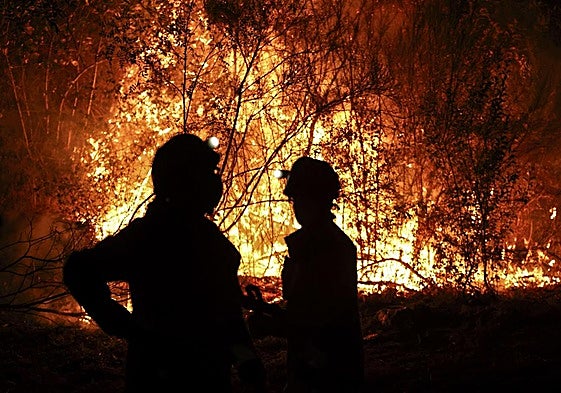 Bomberos forestales en un incendio de la provincia de Lugo.