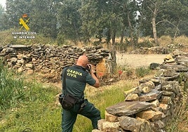 La Guardia Civil investiga el origen de uno de los incendios que están arrasado Castilla y León este verano.