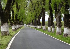 Ruta fronteriza. Carretera rayana en Marvão.