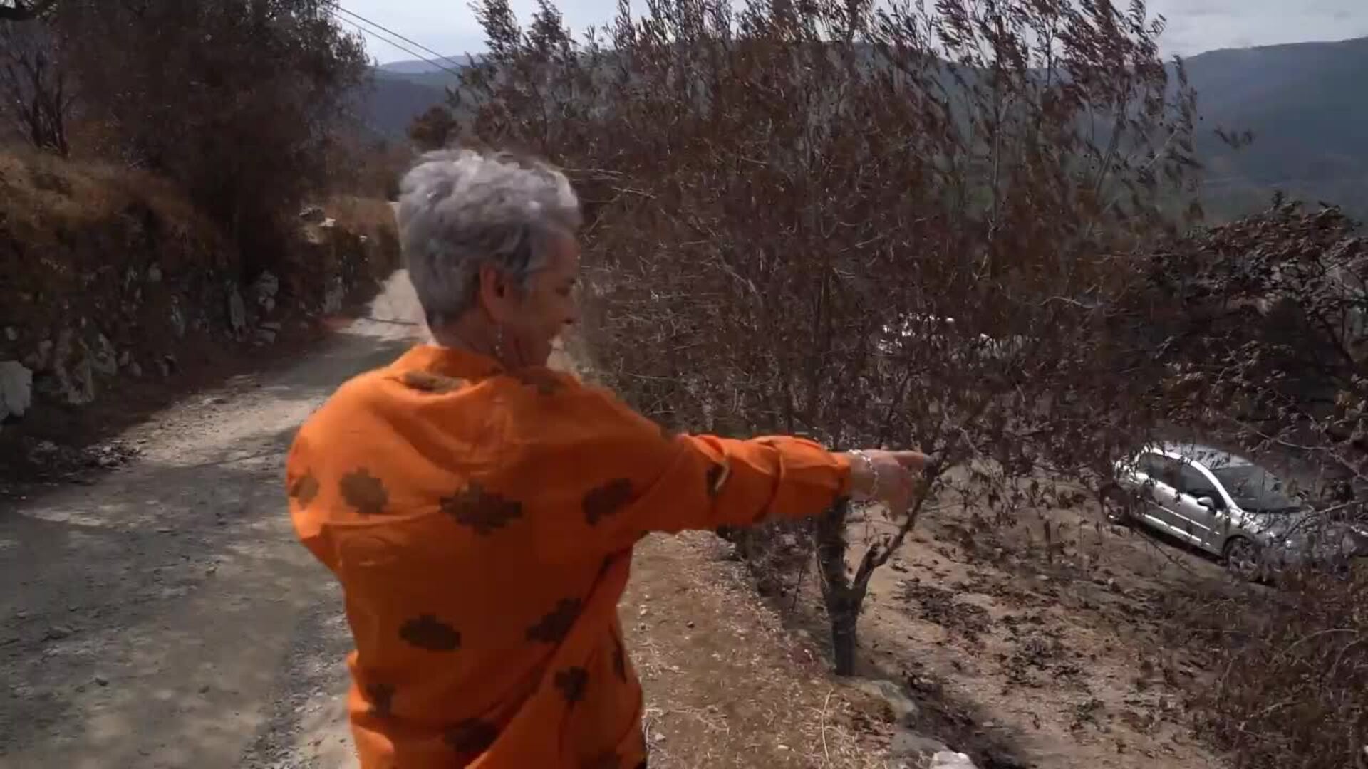 Los héroes de Alvaredos