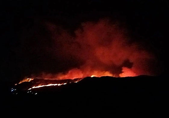 Incendio forestal en Lubrín.