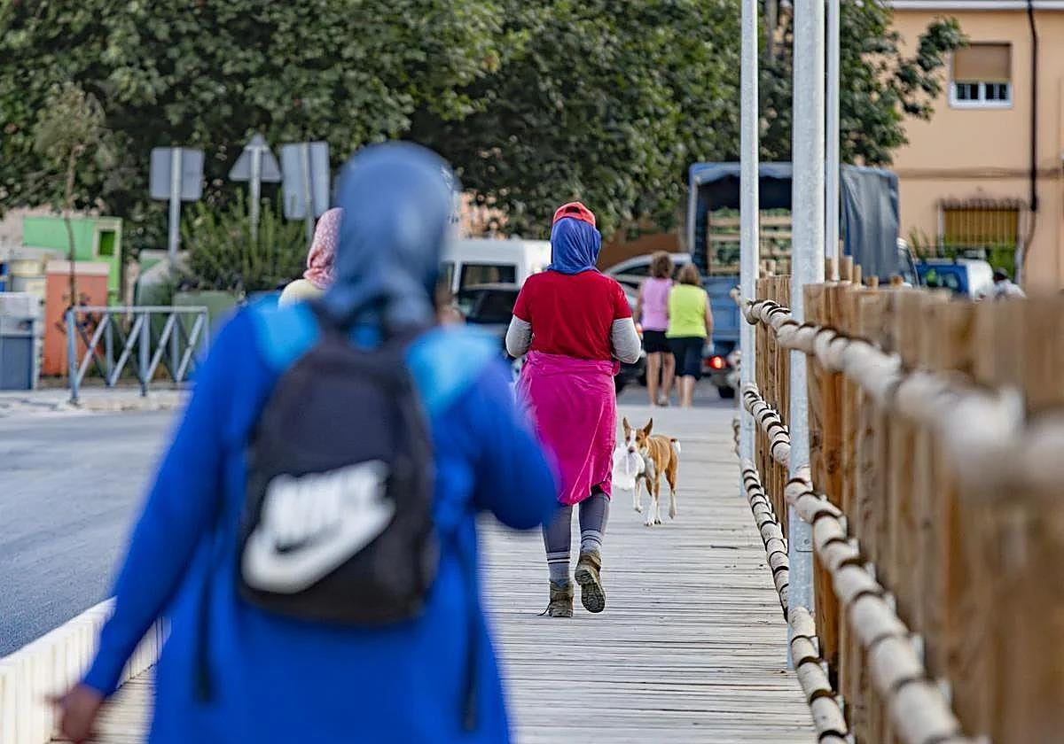 Las mujeres regresan a Zafarraya tras su jornada en el campo