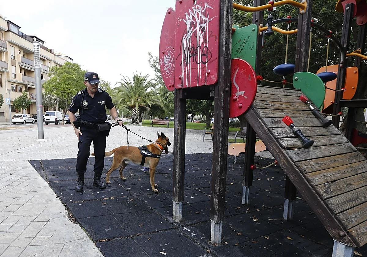 Perro especializado en localización de drogas en un parque infantil de Paterna.