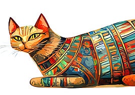 Diez mitos sobre tu gato que deberías desterrar