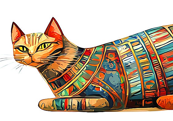 Diez mitos sobre tu gato que deberías desterrar