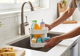 Todo en orden y a mano con este organizador para el espacio bajo el fregadero
