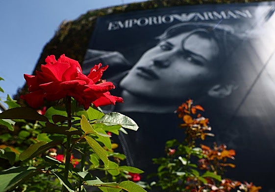 Una flor cerca de la publicidad de Emporio Armani.
