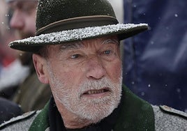 El actor Arnold Schwarzenegger.