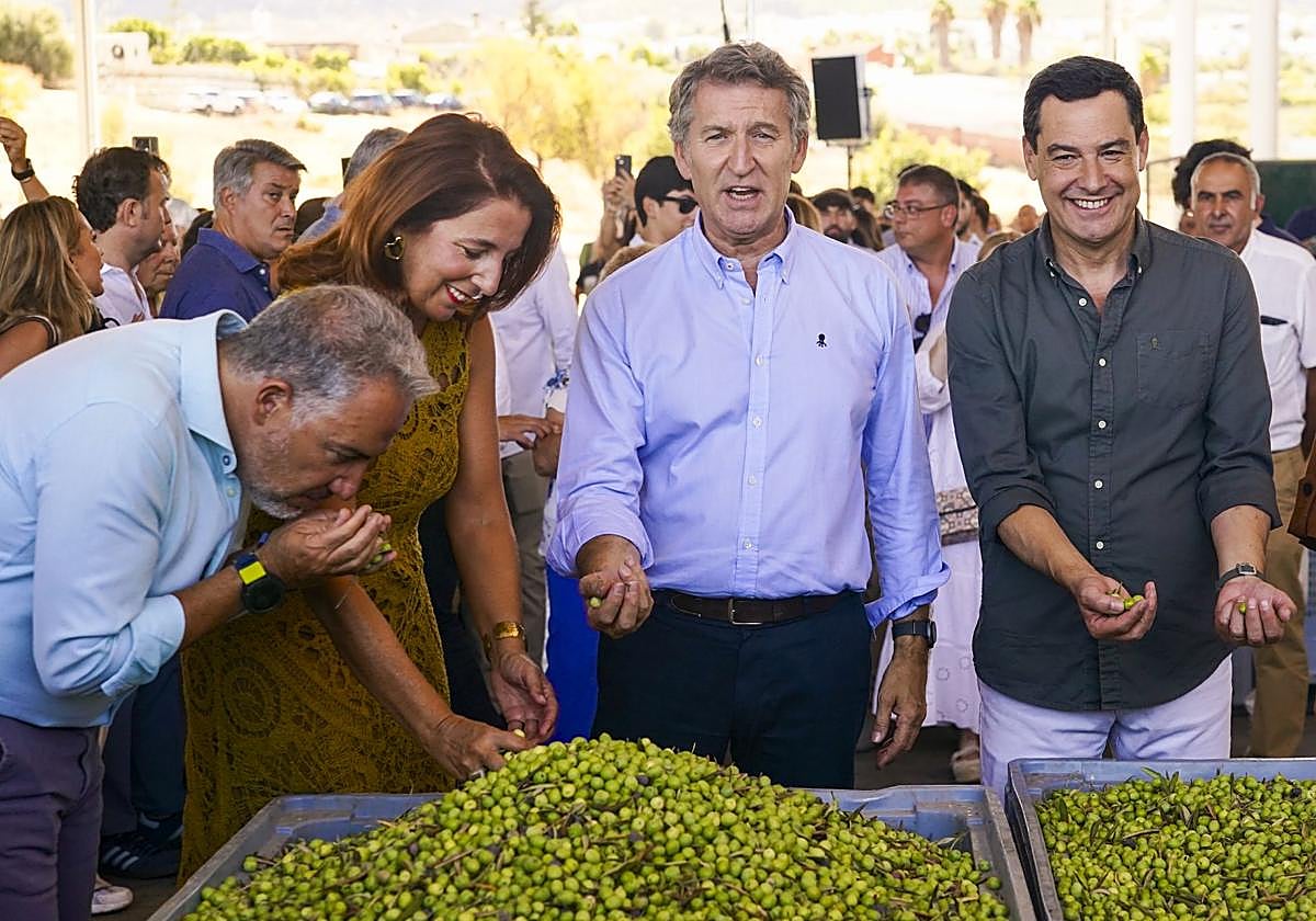 Moreno, Feijóo y otros dirigentes del PP, en el acto de Alhaurín el Grande (Málaga).