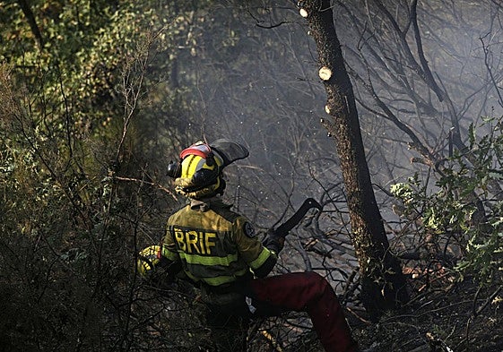 Un bombero forestal, extinguiendo un incendio en León este verano.
