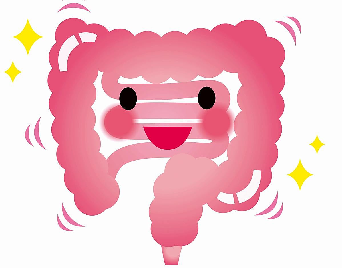 Tu dieta es 'tóxica' para tus tripas y no te lo acabas de creer