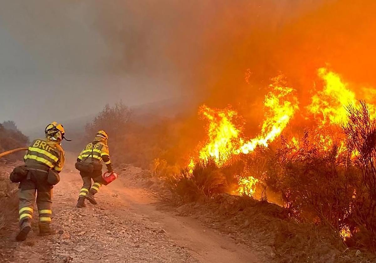 Muere un hombre en un incendio forestal en Villarejo de Órbigo (León)