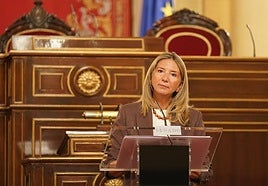 La portavoz del PP en el Senado, Alicia García.