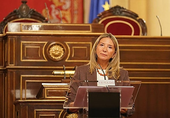 La portavoz del PP en el Senado, Alicia García.