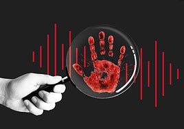 Las voces de la violencia en España