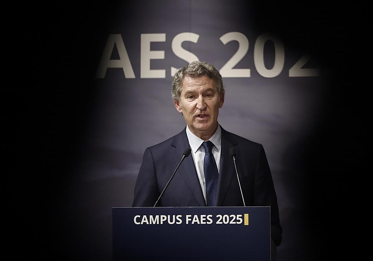 El presidente del PP, Alberto Núñez Feijóo.